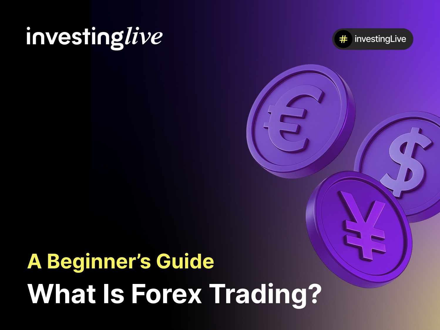 WHAT IS FOREX A BEGINNER S GUIDE visual data 4